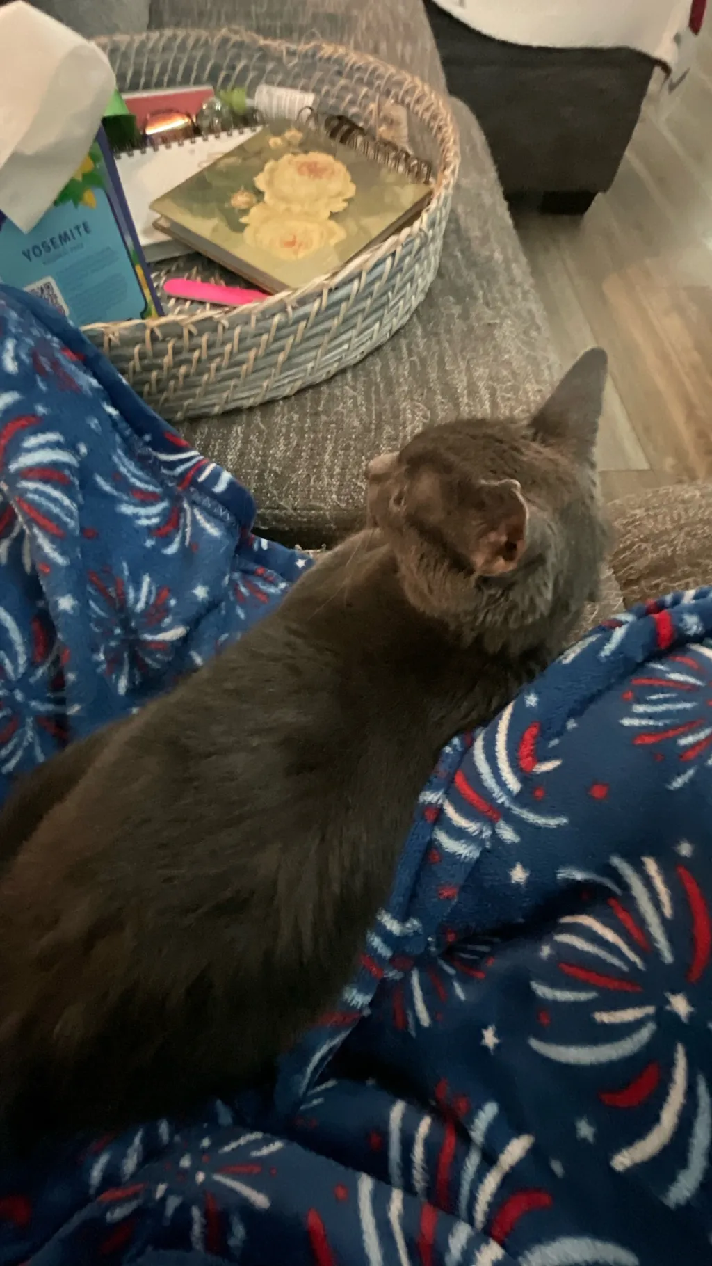 ai character: Mr man background