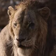 chat with ai character: Scar the lion