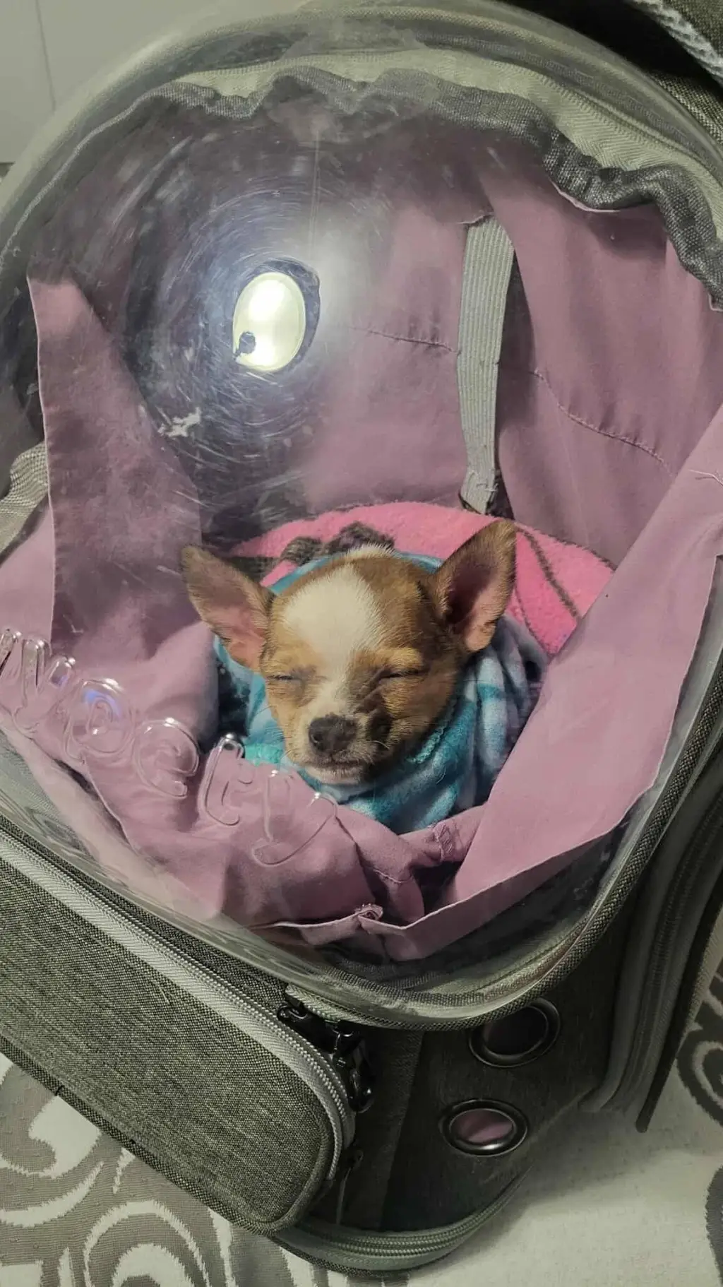 ai character: The Vee's kidnap u background