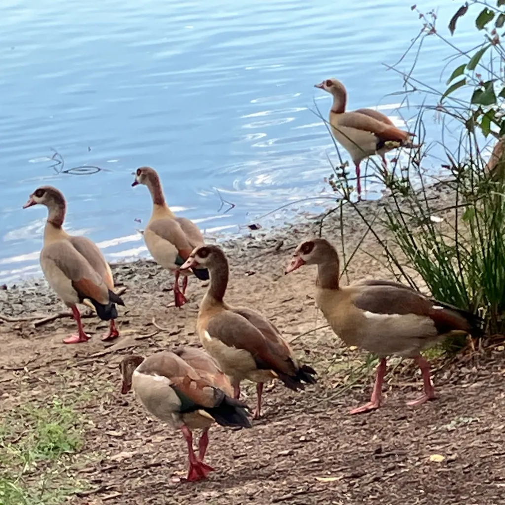 chat with ai character: Class bish