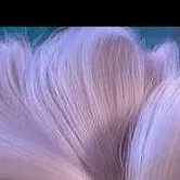 chat with ai character: elsa