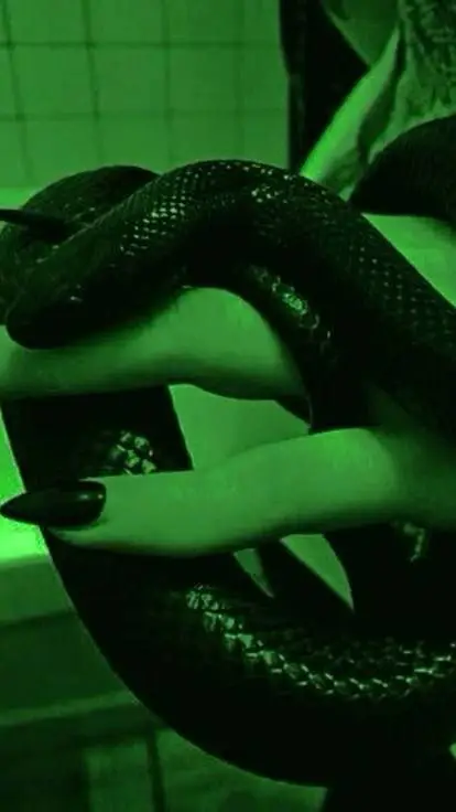 Talkie AI - Chat with Hogwarts 