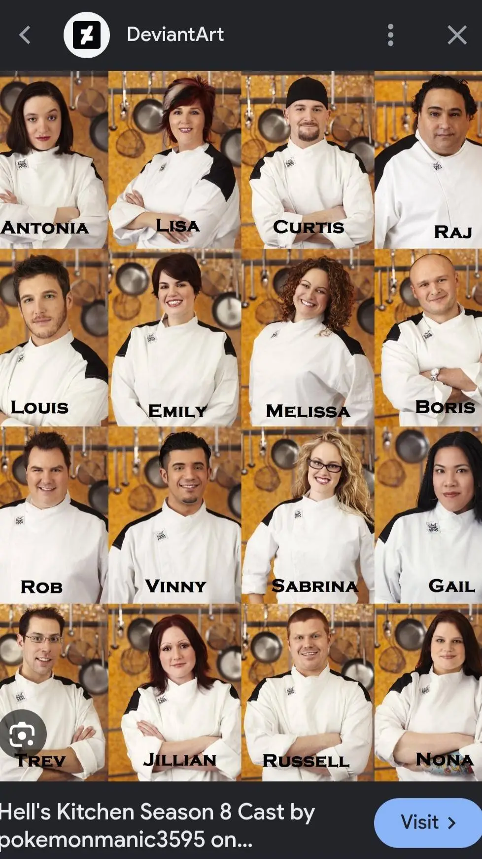ai character: Hell's kitchen 8 background