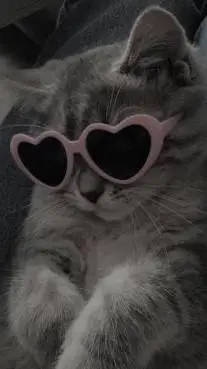 ai character: Yalxz *your cat* background