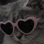 chat with ai character: Yalxz *your cat*