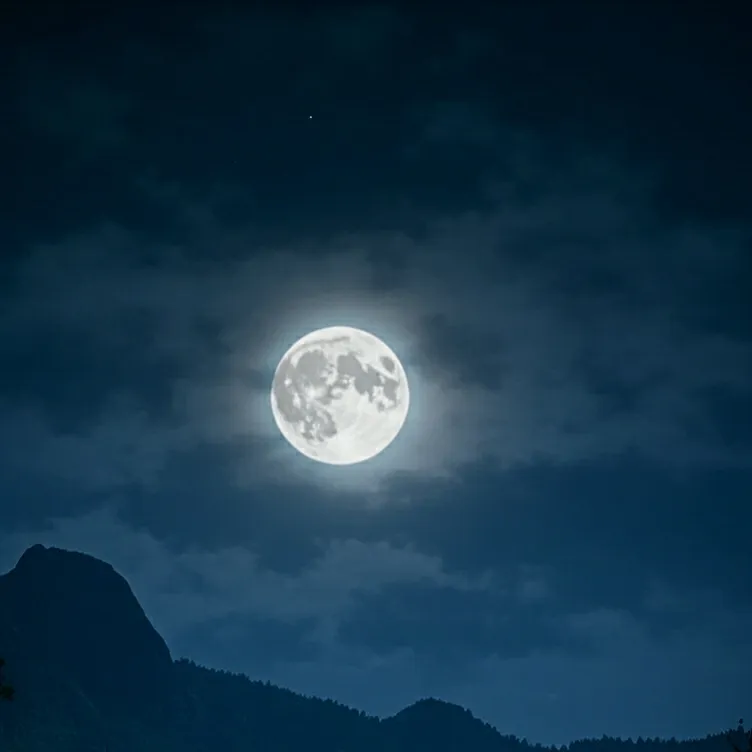 chat with ai character: The Grim Night