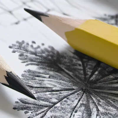 chat with ai character: Miss circle