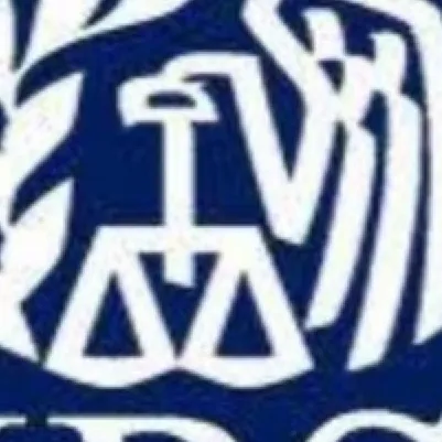 chat with ai character: The irs