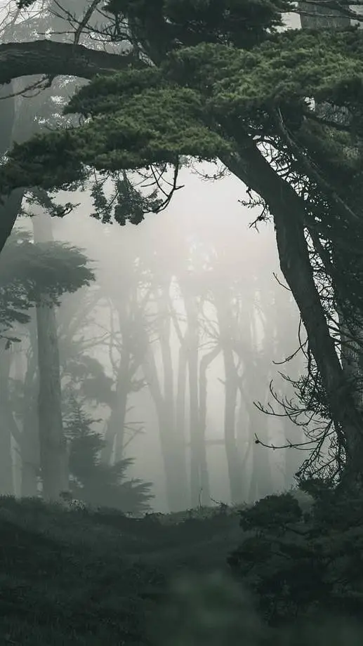 ai character: The Wendigo background