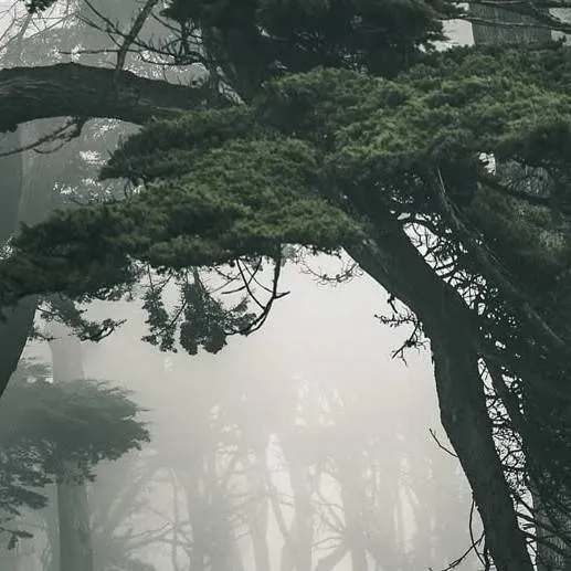 chat with ai character: The Wendigo