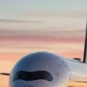 chat with ai character: MD on plane trip 