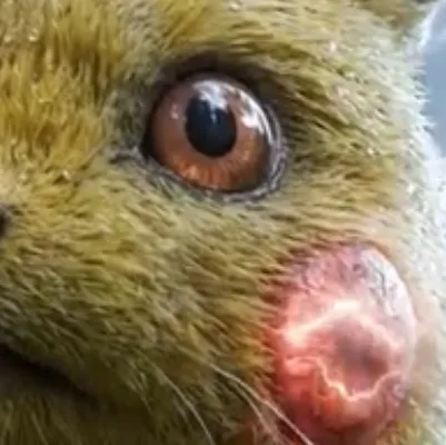 chat with ai character: Pikachu