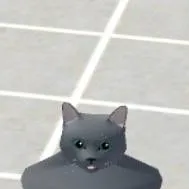 chat with ai character: skinwalker cat