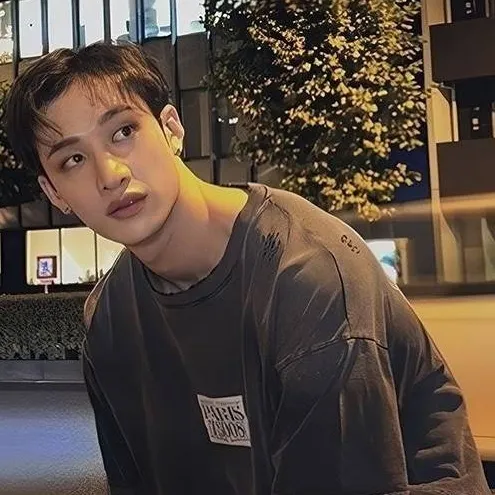 chat with ai character: skz