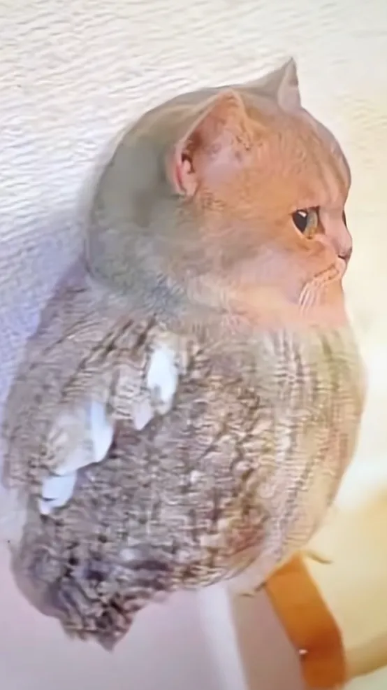 Talkie AI - Chat with Sprout!!…