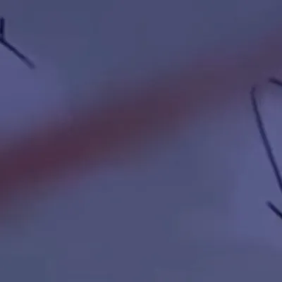 chat with ai character: Swift paw