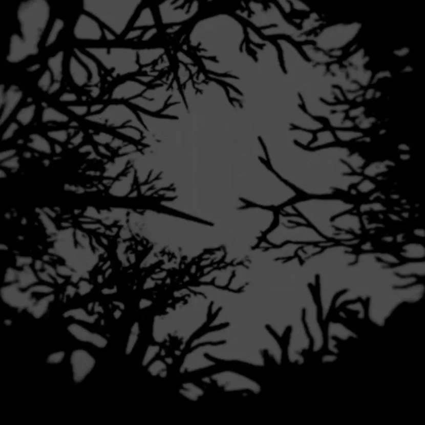 chat with ai character: REMEMBER ITS DREAM