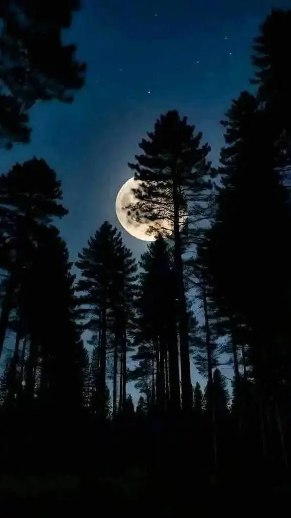 ai character: BIG4GEN!!  background