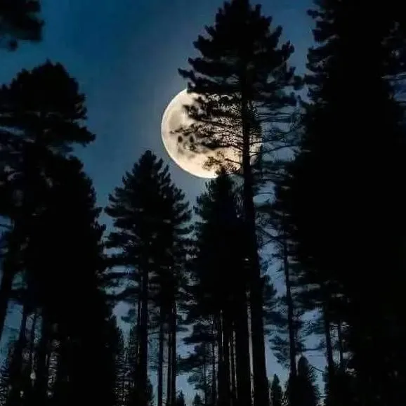 chat with ai character: BIG4GEN!! 