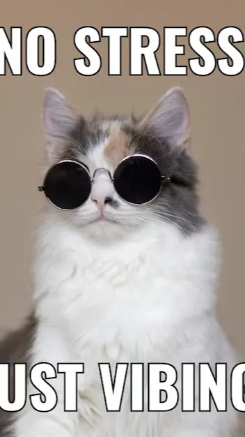 ai character: Hard Question 😭 background