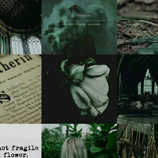 chat with ai character: 🖤 Slytherin Gang🐍🥀