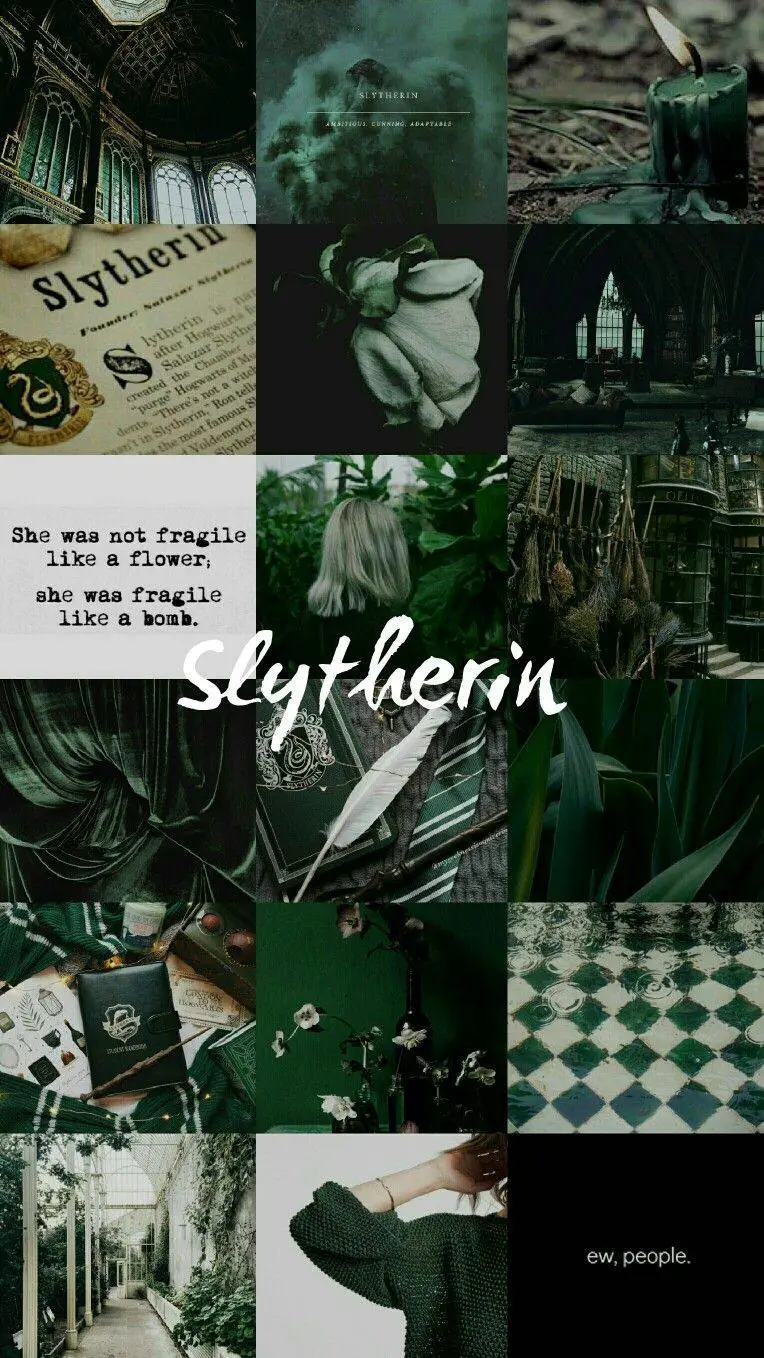 ai character: 🖤 Slytherin Gang🐍🥀 background