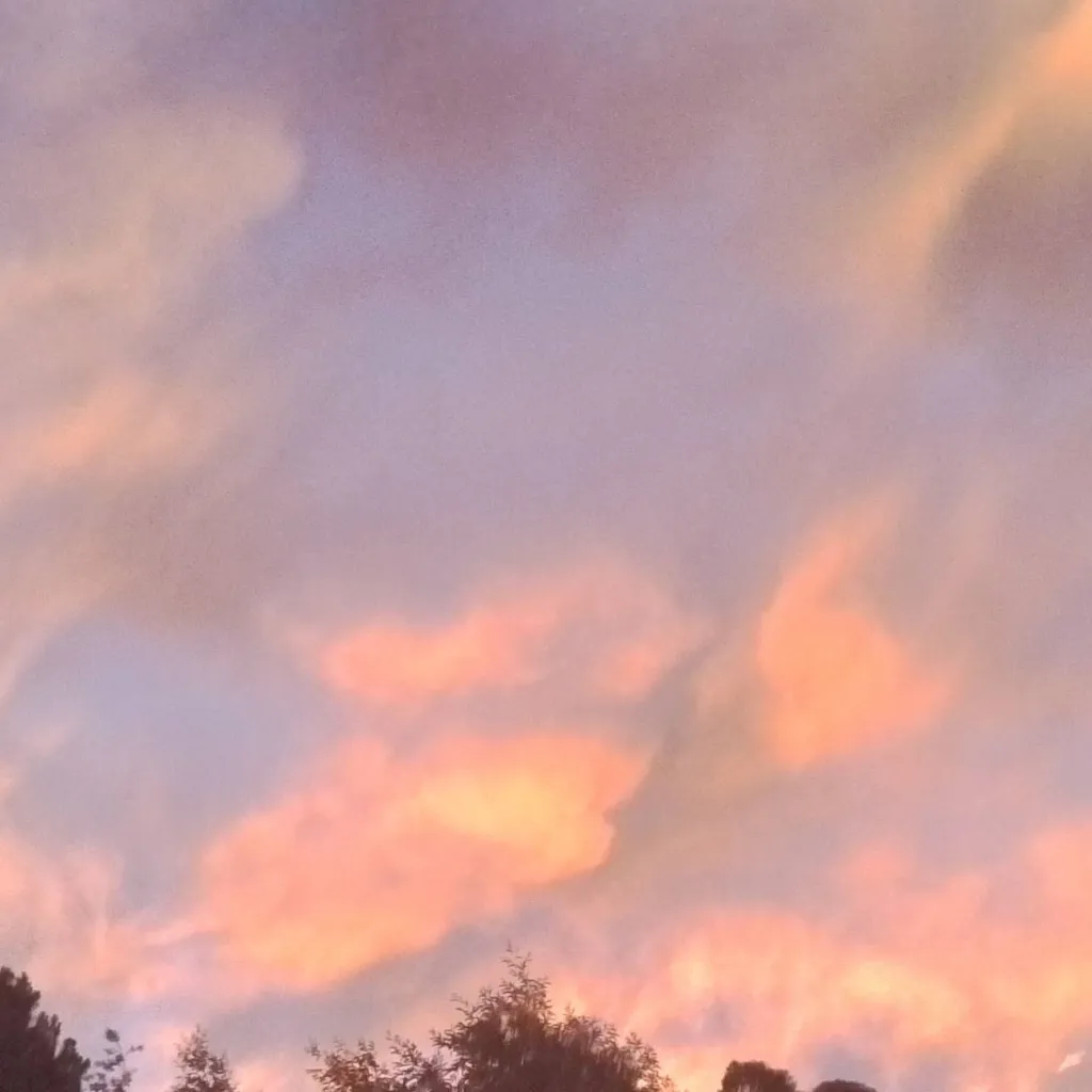 chat with ai character: Bed Roadtrip