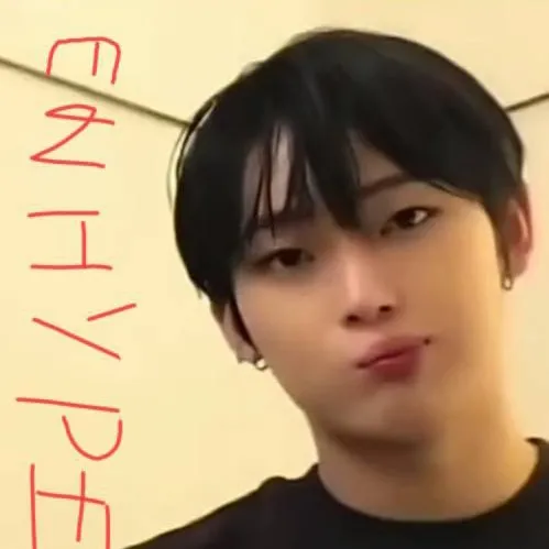 chat with ai character: ENHYPEN ✨