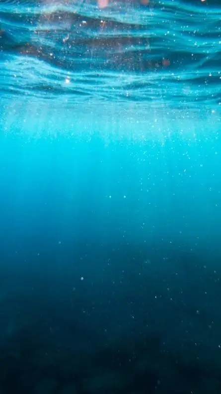 ai character: star knights 2 background