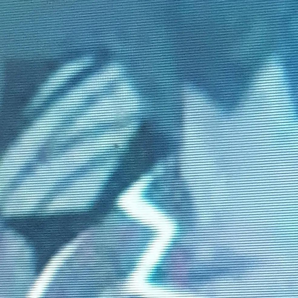 chat with ai character: ✥nameless werewolf