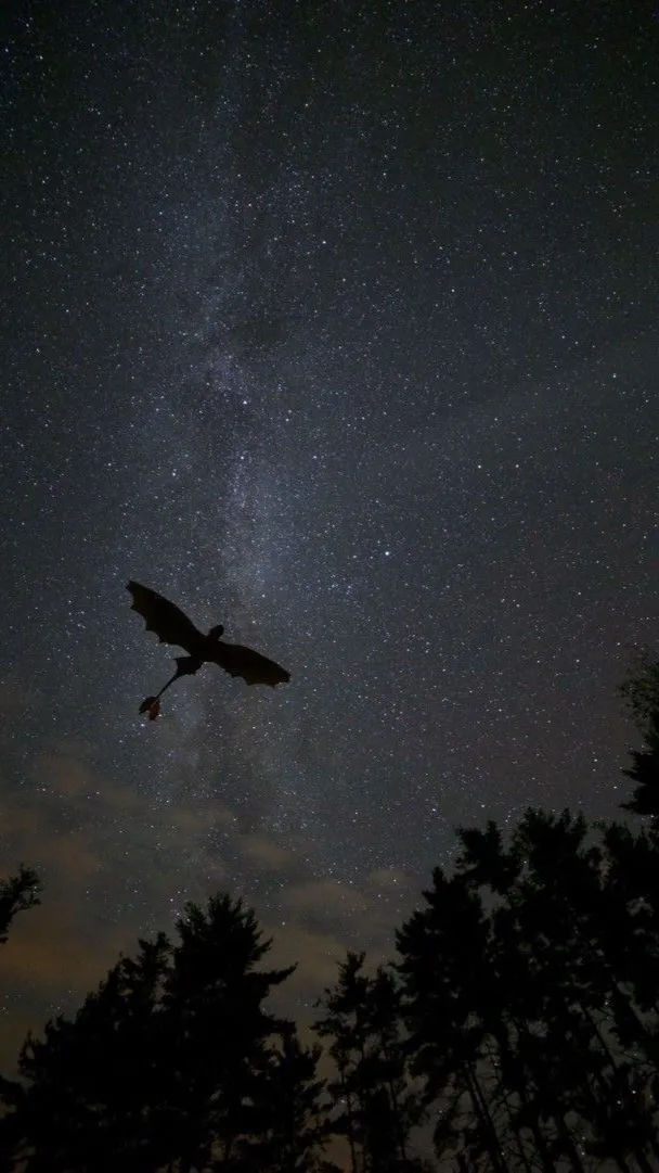 ai character: Httyd! <3 background