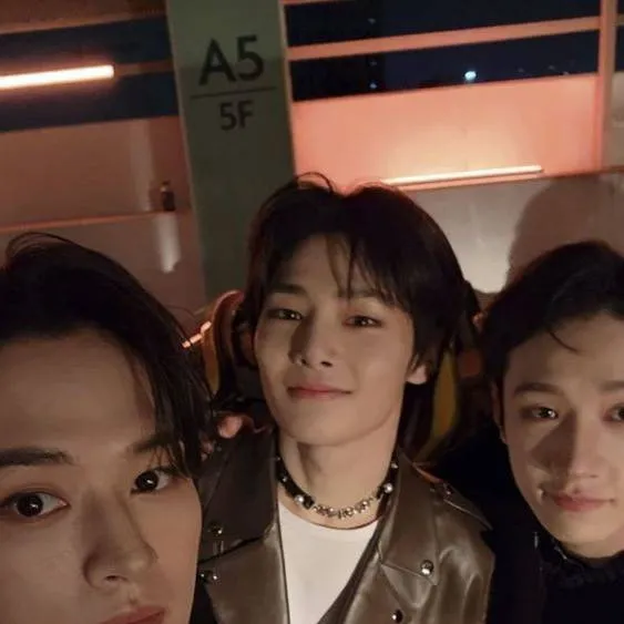 chat with ai character: Straykids 