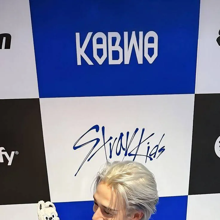 chat with ai character: straykids