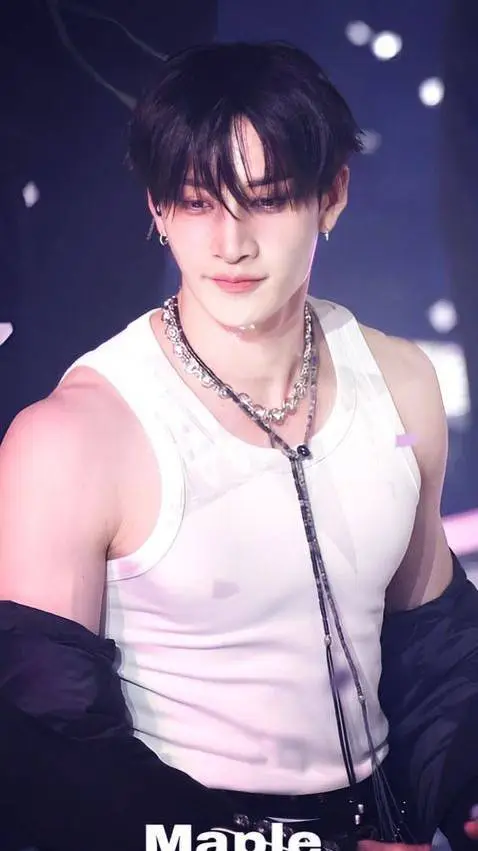 ai character: straykids  background