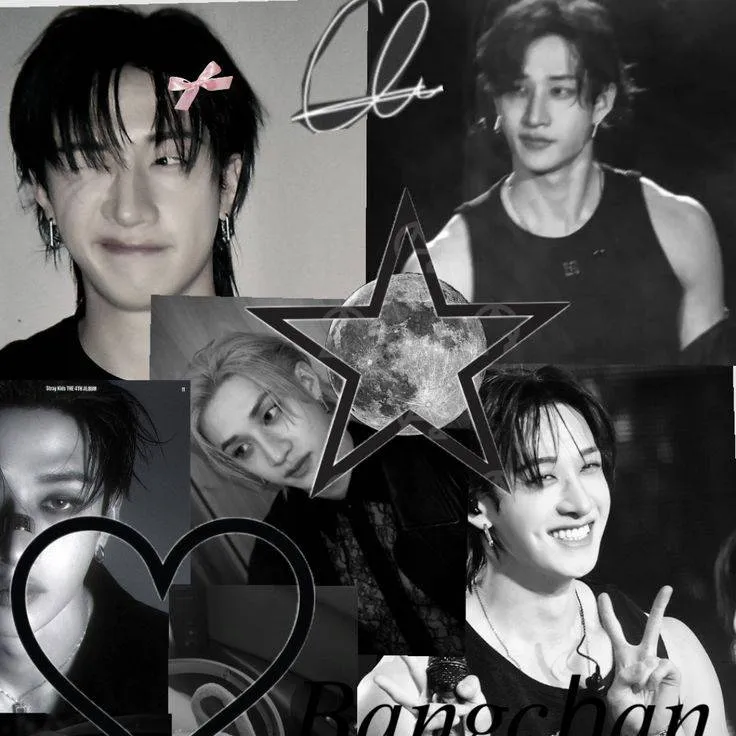 chat with ai character: Bangchans obsessed