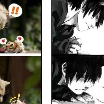 chat with ai character: ♡Milo(giant cat)♡