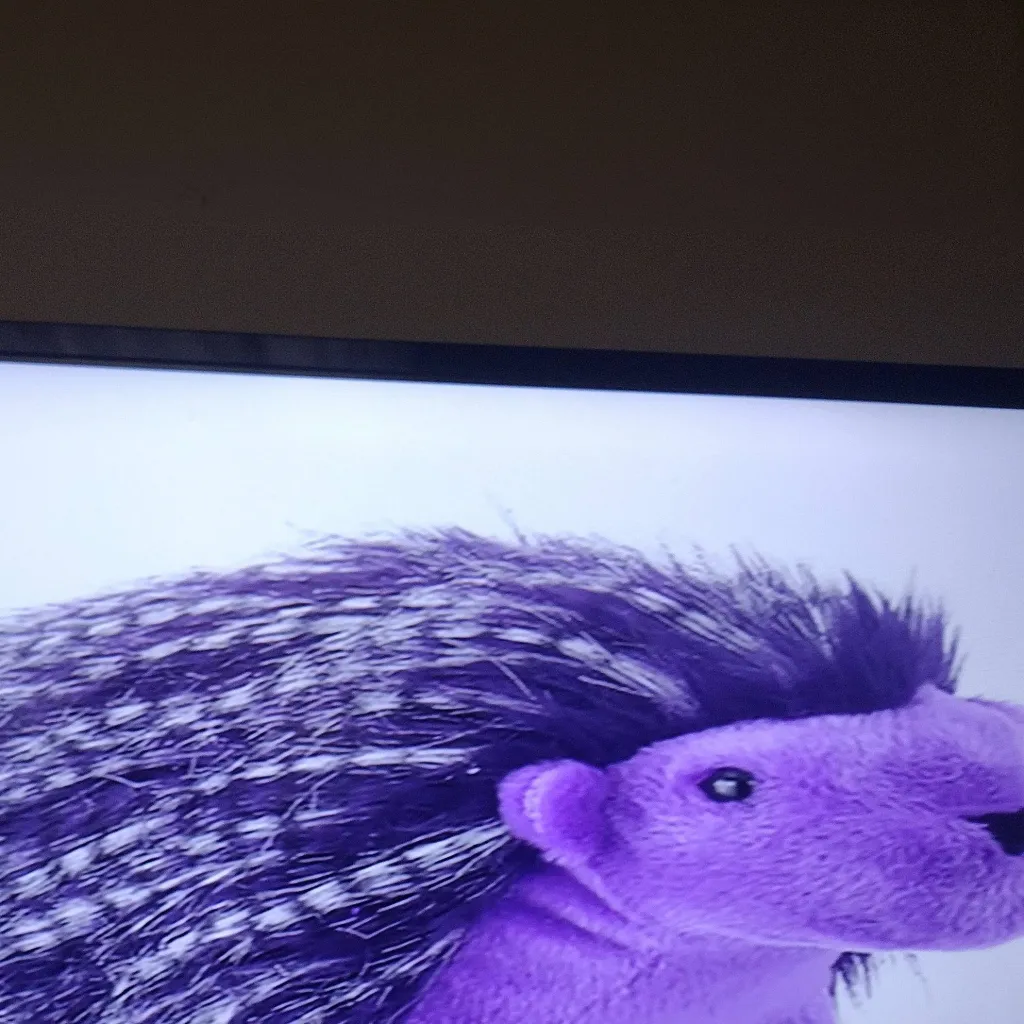 chat with ai character: Purple Hedgehog