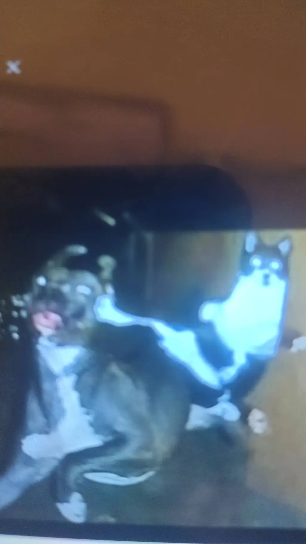 ai character: Caty vs Dogy background