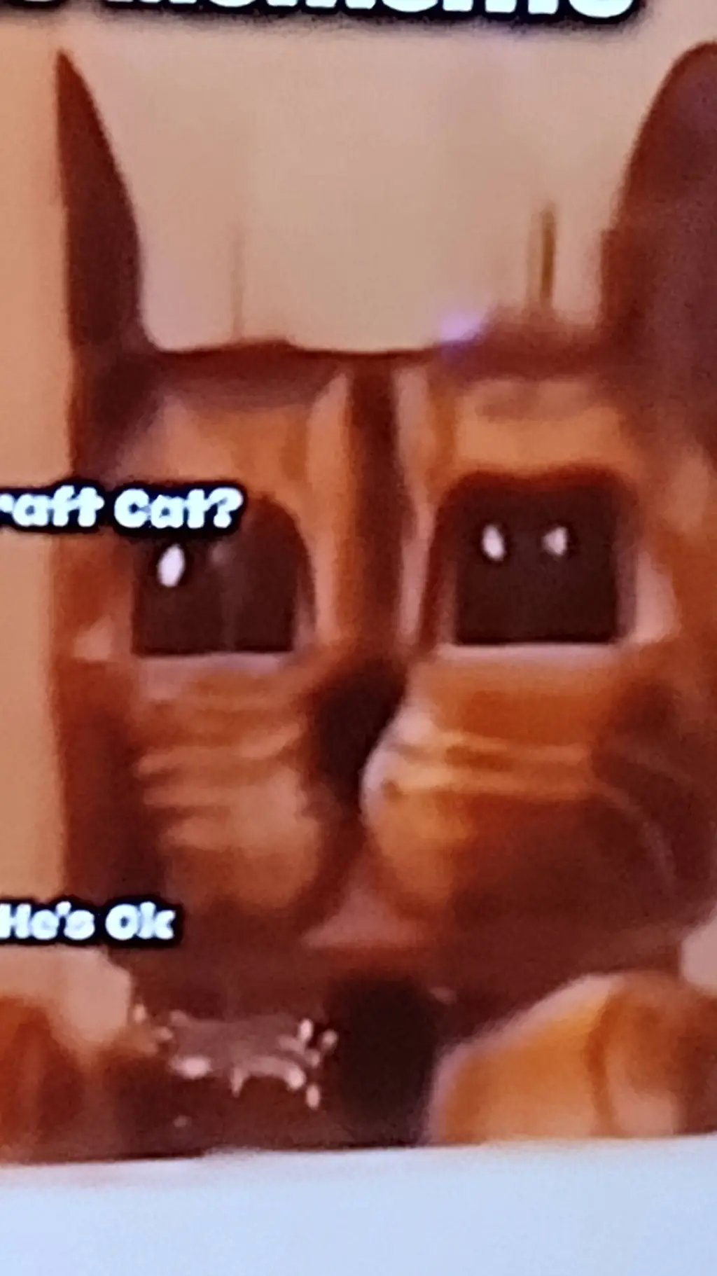 ai character: Minecraft Cat  background