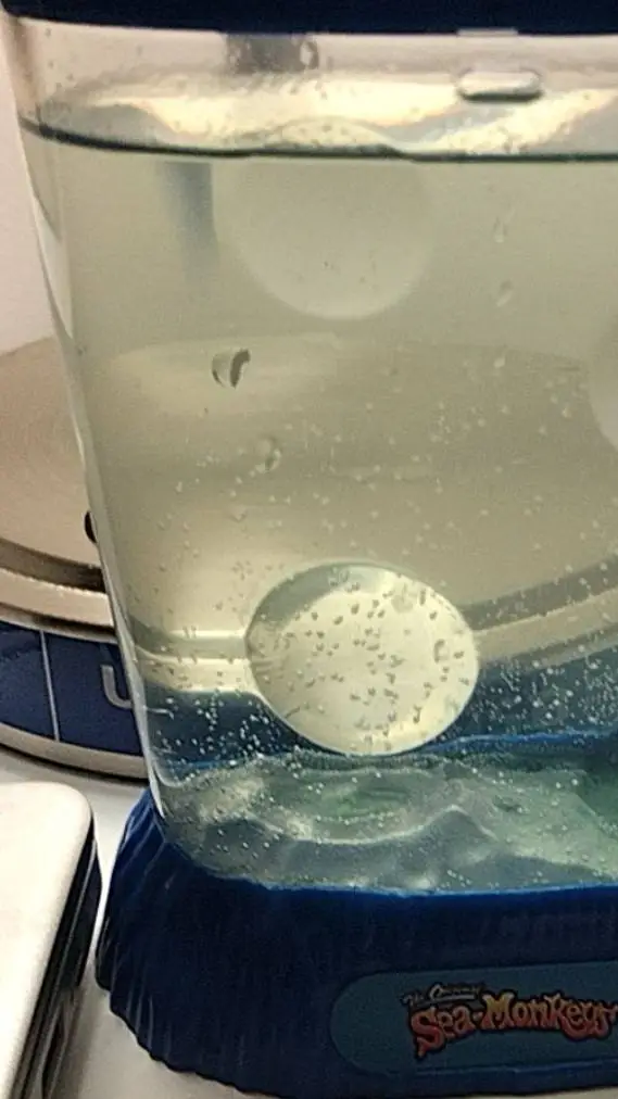 ai character: chicken  background