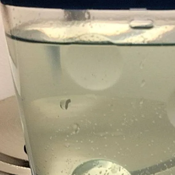 chat with ai character: chicken 