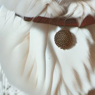 chat with ai character: Cat (u)