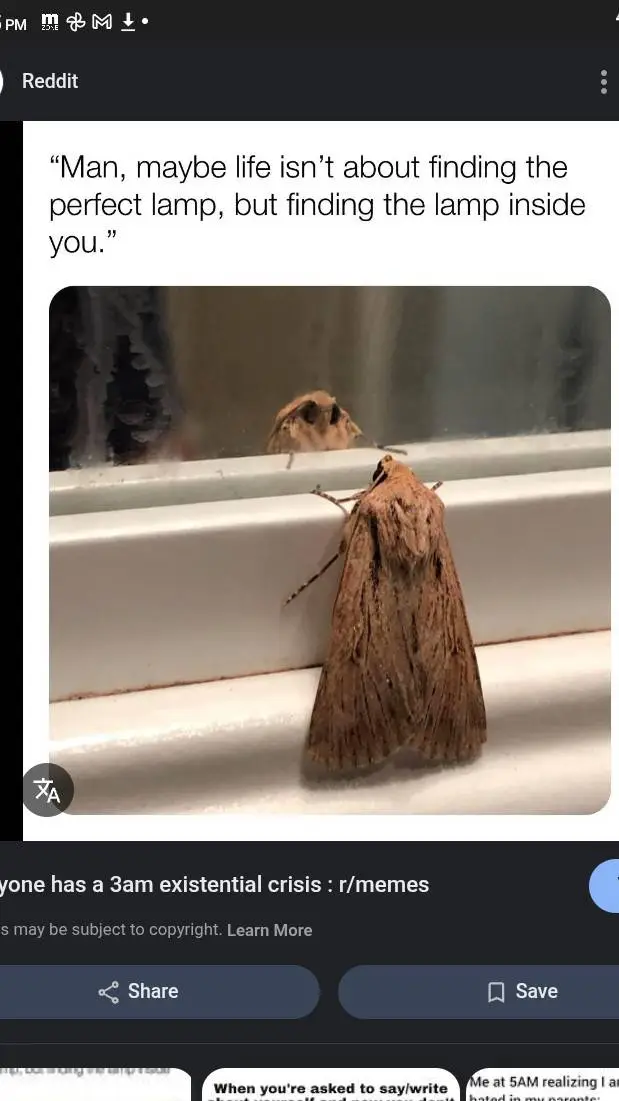 ai character: Moth family  background