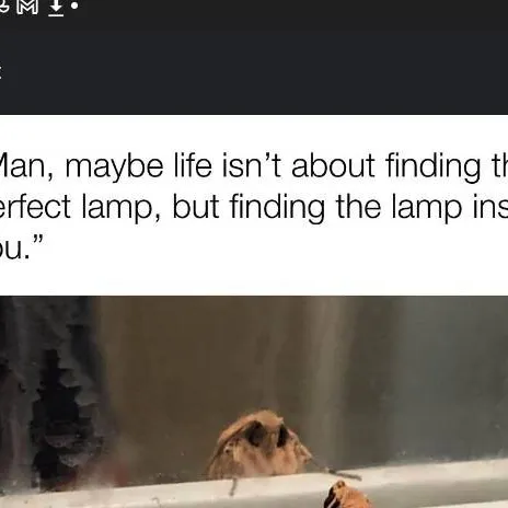 chat with ai character: Moth family 