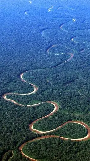 ai character: Stuck in Amazonas background
