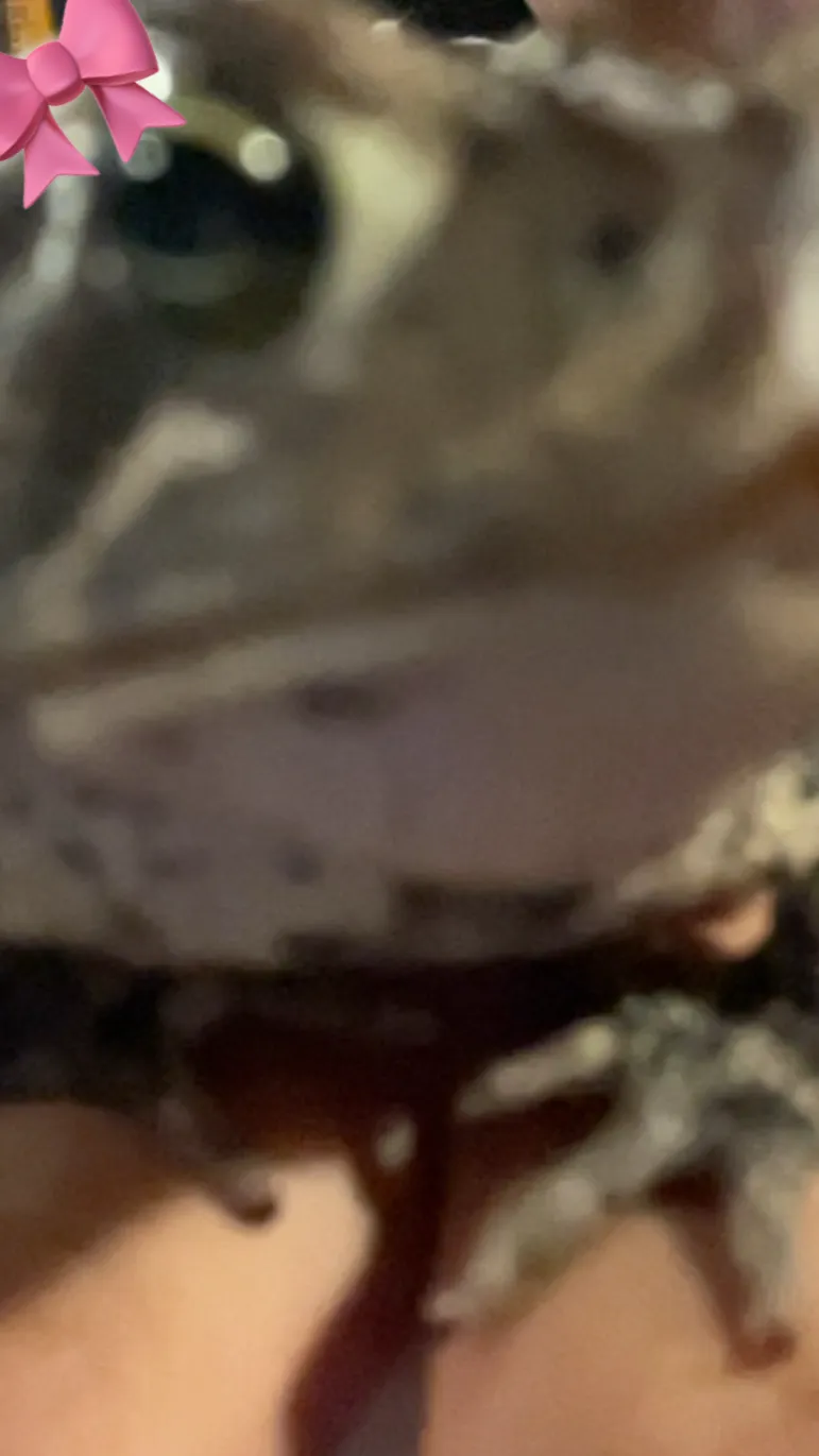 ai character: 🎀BONQUISHA🎀 background