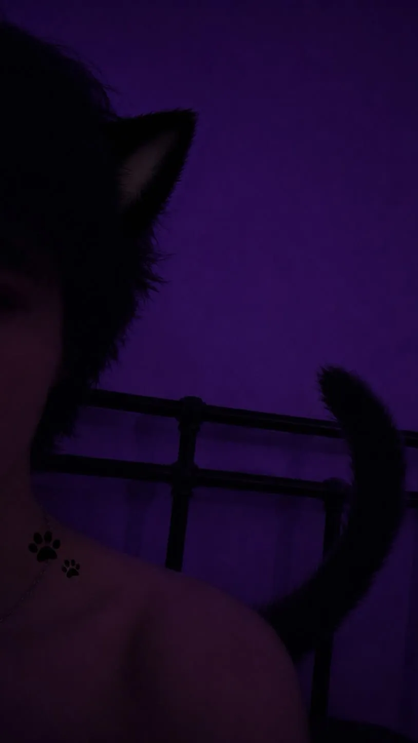 ai character: Catboy background