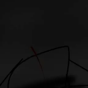 chat with ai character: Luna_kit gets shot