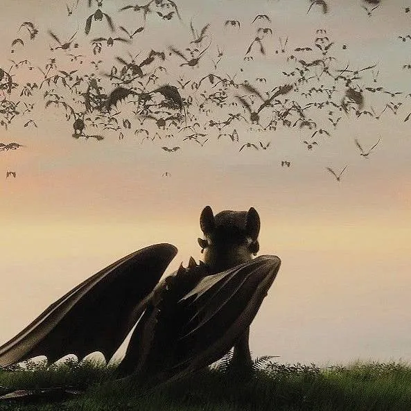 chat with ai character: Httyd