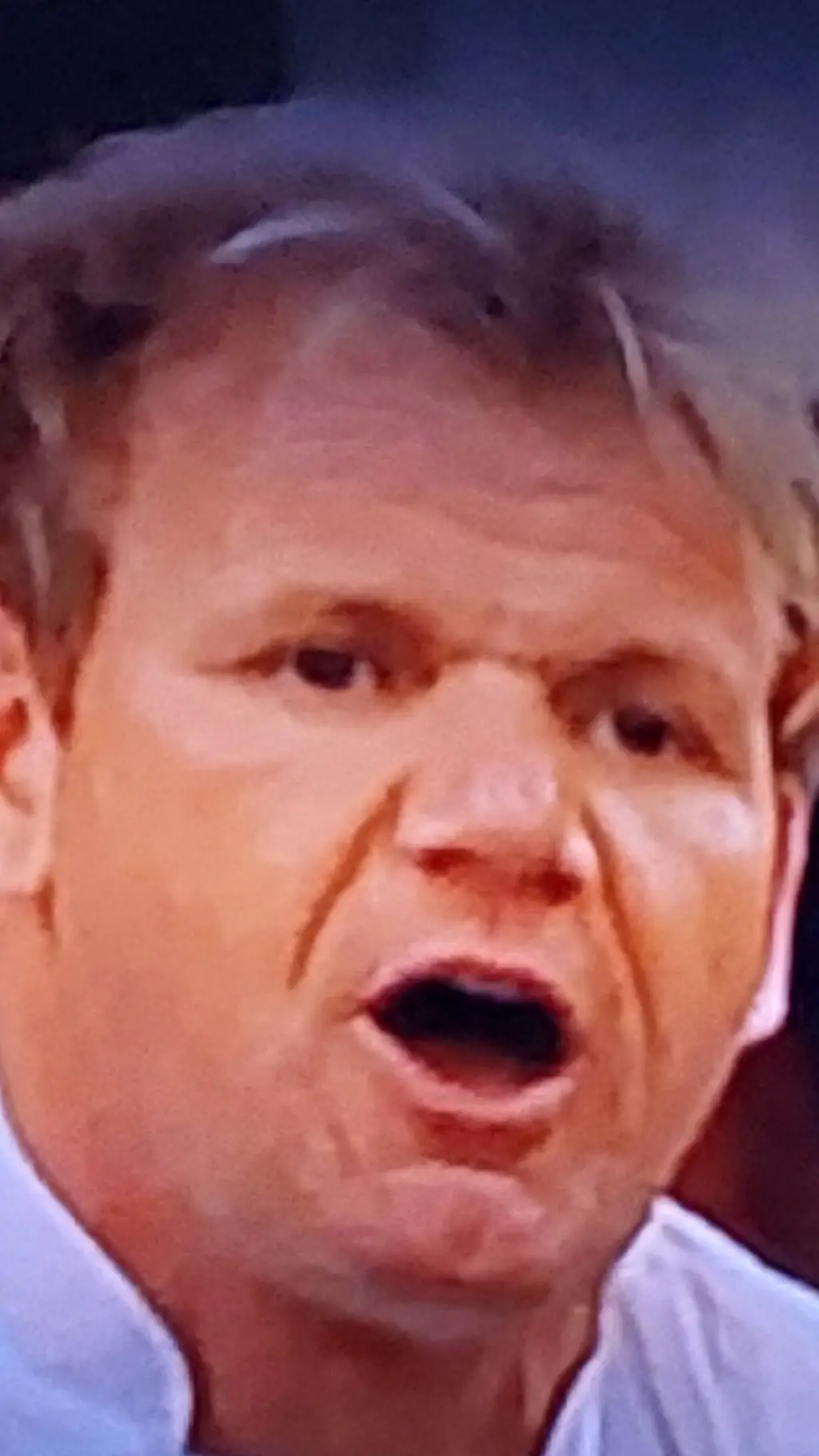 ai character: Gordon Ramsey background